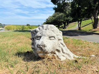 夢前川河川敷の緑地にあるライオン像。体が地中に埋まっている＝姫路市広畑区東新町３