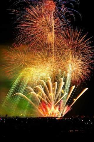 姫路の夜空を彩った花火＝姫路市飾磨区、姫路港