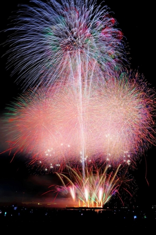 姫路の夜空を彩った花火＝姫路市飾磨区、姫路港