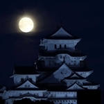 夜空に浮かぶ「中秋の名月」と競演する姫路城＝２０２４年９月１７日、姫路市山野井町から