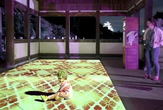 プロジェクションマッピングで彩られた男山八幡宮の拝殿＝姫路市山野井町