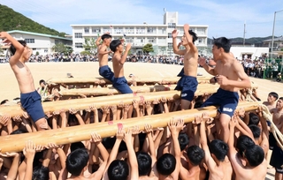 「棒引き競技」後に、棒を屋台の本棒に見立てて練り合わせる男子生徒ら＝灘中学校