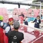 回転する水車でノリ網に種付けをするパート従業員ら＝姫路市家島町坊勢