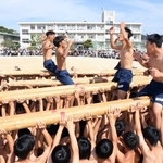 「棒引き競技」後に、棒を屋台の本棒に見立てて練り合わせる男子生徒ら＝灘中学校