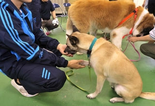 犬と触れ合う受刑者ら＝姫路少年刑務所