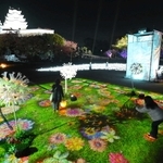 平和の花よ、咲き誇れ　姫路城で光のアート　12月11日まで　タンポポや藤棚などイメージ