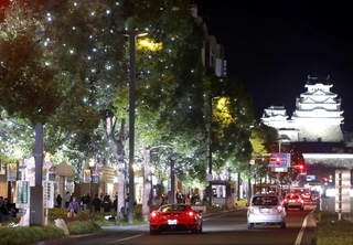 大手前通りを鮮やかに彩るイルミネーション＝姫路市内