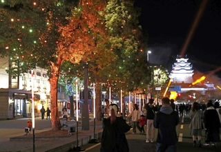 並木がイルミネーションで彩られ、歩行者天国でにぎわう大手前通り＝１１月２２日、姫路市本町