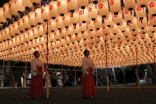 新年万灯祭に向けて試験点灯された提灯＝姫路護国神社