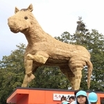 巨大な馬オブジェ、安志加茂神社に登場　酒米の稲穂使い制作、午年の願い込め設置　姫路