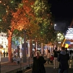 冬の姫路、光が彩る　大手前通りにLED25万個、提灯も　城のライトアップと連動　2月22日まで