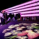 花や紅葉のイメージが地面に投影されるほか、カラフルな提灯オブジェも設置された家老屋敷跡公園＝１１月２２日、姫路市本町