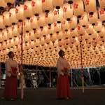 新年万灯祭に向けて試験点灯された提灯＝姫路護国神社