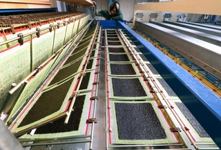 規定のサイズに整えられ、乾燥されるノリ＝姫路市家島町宮