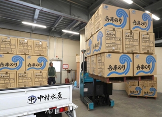 家島漁協の選別所で出荷を待つ「兵庫のり」＝姫路市家島町宮