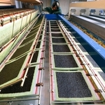 味も香りも、最高の一枚を　姫路・家島、養殖ノリ生産が最盛期　加工場に活気