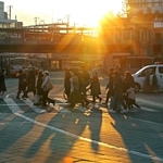 事務所開きやあいさつ回り…兵庫11、12区各陣営、論戦前に準備急ぐ　衆院選27日公示