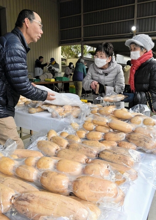 丸々とした大きなレンコンが並んだ直売会場＝姫路市大津区恵美酒町１