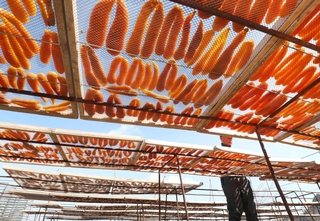 青空の下、天日干しされるカラスミ＝姫路市家島町西島