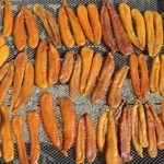 青空の下、天日干しされるカラスミ＝姫路市家島町西島