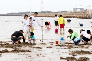 復活２年目のシーズンを迎え、にぎわう姫路白浜潮干狩り場＝姫路市白浜町丙