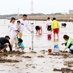 復活２年目のシーズンを迎え、にぎわう姫路白浜潮干狩り場＝姫路市白浜町丙
