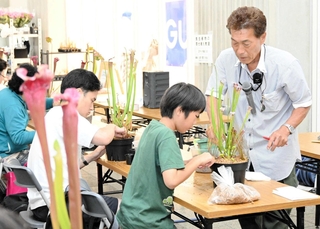 サラセニアやハエトリソウの寄せ植えを教える土居寛文さん（右）＝ＪＲ姫路駅西側自由通路