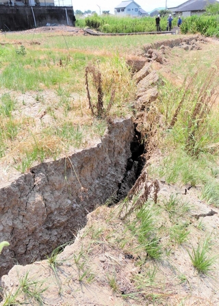 今回の地震を引き起こしたとされる日奈久断層＝８月３日、熊本県八代市内（西影裕一さん提供）