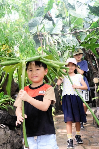植物の葉を手に、スコール体験を楽しむ子どもたち＝手柄山温室植物園