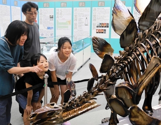 鉄でつくったステゴサウルスの全身骨格模型を眺める来場者ら＝姫路科学館