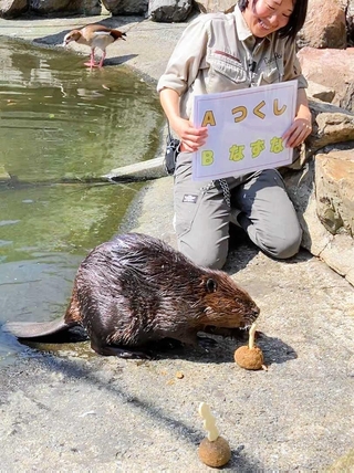 ツクシ形のサツマイモが乗ったケーキを食べた双子の母のラン＝姫路セントラルパーク（提供）