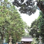 氏子の清水基平さん（中央）が見つけた正八幡神社のハートマーク（右上上空）＝姫路市船津町