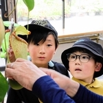 ウツボカズラを観察し生態を学ぶ来場者＝姫路市立手柄山温室植物園