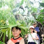 植物の葉を手に、スコール体験を楽しむ子どもたち＝手柄山温室植物園