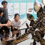 鉄でつくったステゴサウルスの全身骨格模型を眺める来場者ら＝姫路科学館