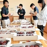 姫路市や太子町の農家が栽培したイチジクの色、つや、詰め方などをチェックするＪＡ職員ら＝旬彩蔵書写