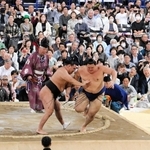 大相撲「姫路場所」、迫力の土俵上に熱視線　満員御礼の盛況　豪刃雄ら播磨勢の力士も登場