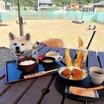 貸し切りドッグラン併設のカフェ「夢街道ｆａｒｍ６７」。愛犬が遊ぶ中、旬のサツマイモスイーツなどを楽しめる＝姫路市夢前町宮置