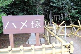 ６００年以上の歴史があるとされる「ハメ塚」。マムシを恐れる農民たちの思いがしのばれる＝小野市中島町