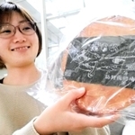 直径約２０センチ。お土産として開発された特大せんべい＝加西市役所