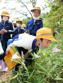 ササユリの香りをかぐ児童たち＝あびき湿原