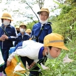 ササユリの香りをかぐ児童たち＝あびき湿原