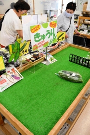 開店直後にもかかわらず、ほとんど品物が並んでいない直売所のワゴン＝西脇市西田町