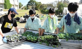 葉ボタンの苗を荷台に積み込む生徒たち＝播磨農業高校