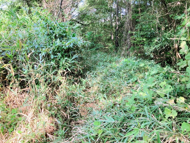 踏切を渡っても一見して道らしきものはない＝小野市樫山町