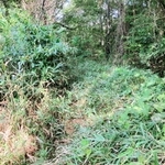 踏切を渡っても一見して道らしきものはない＝小野市樫山町