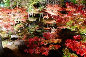 照明で照らされた紅葉が水面に映り、幻想的な雰囲気を醸し出す＝多可町余暇村公園