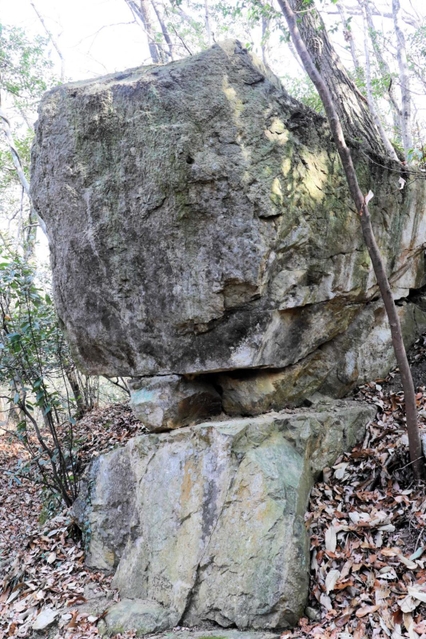 弁慶が積んだ？　山中で存在感を放つ「弁慶の重ね石」＝小野市樫山町