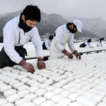 雪の中でこんにゃくを天日干しする藤原さん（手前）ら＝多可町加美区丹治
