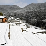 銀世界に姿を変えた棚田＝多可町加美区岩座神